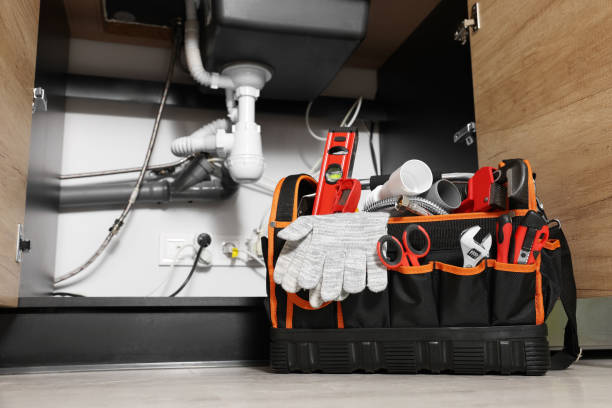 Best Plumbing Inspection Services  in Roy, UT