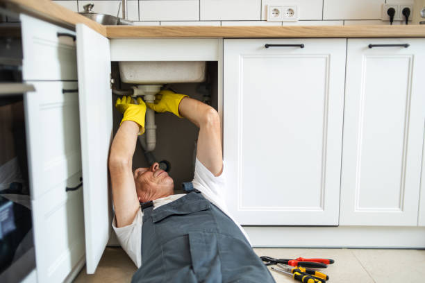 Professional Plumbing in Roy, UT