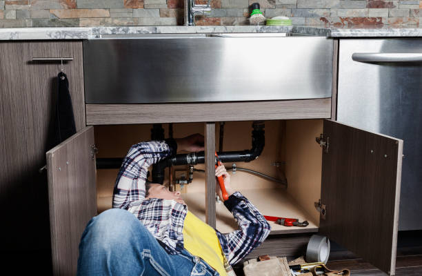 Best Local Plumber Services  in Roy, UT